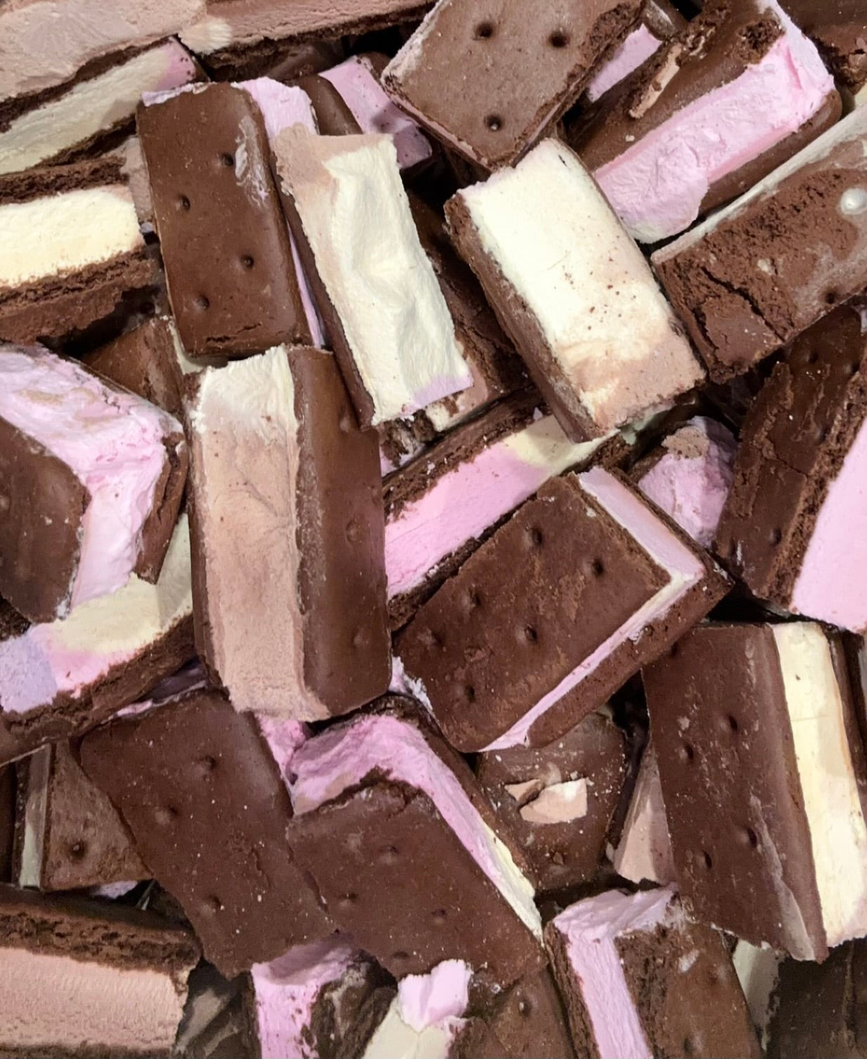 Freeze Dried Neapolitan Ice Cream Sandwiches